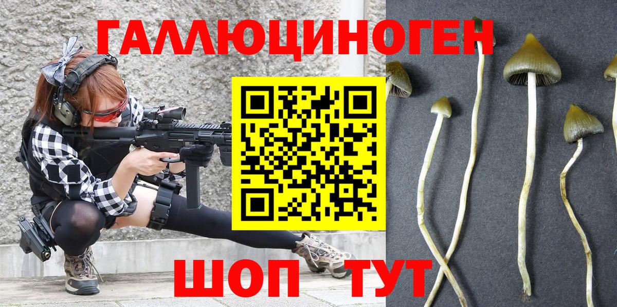 Рассказово  закладка  Вход с VPN  Псилоцибиновые грибы мухоморы 