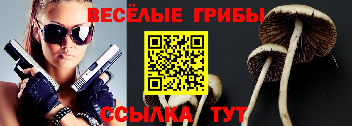 Псилоцибиновые грибы ЛСД Рассказово